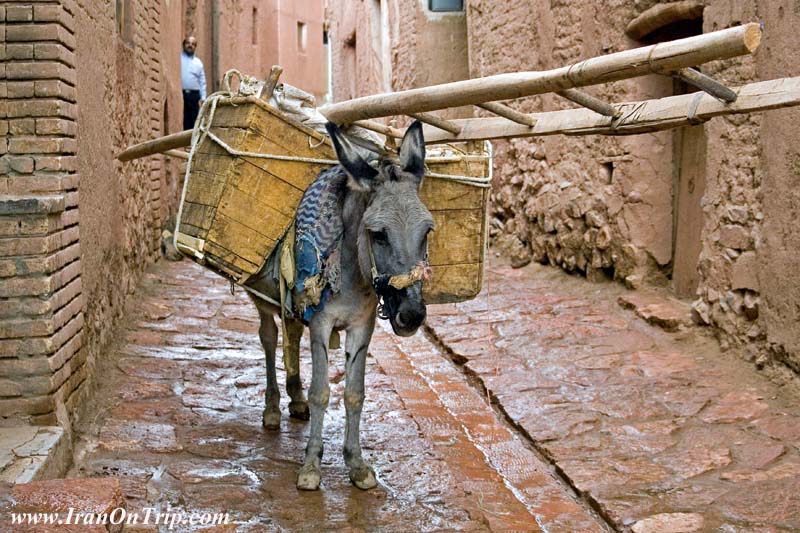 Abyaneh Village 24