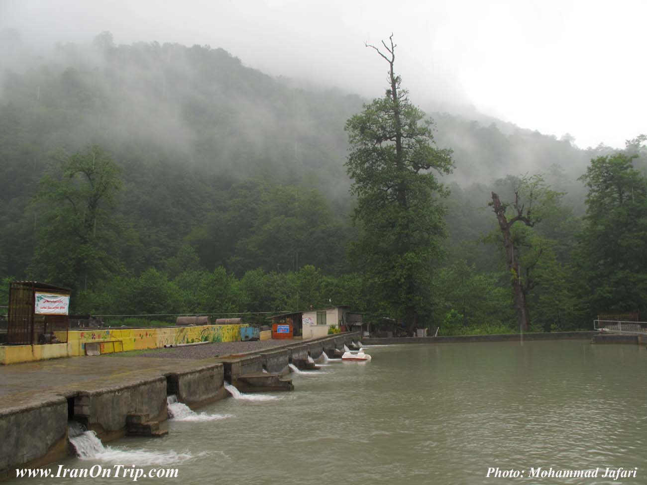 Tonekabon and Ramsar Forests