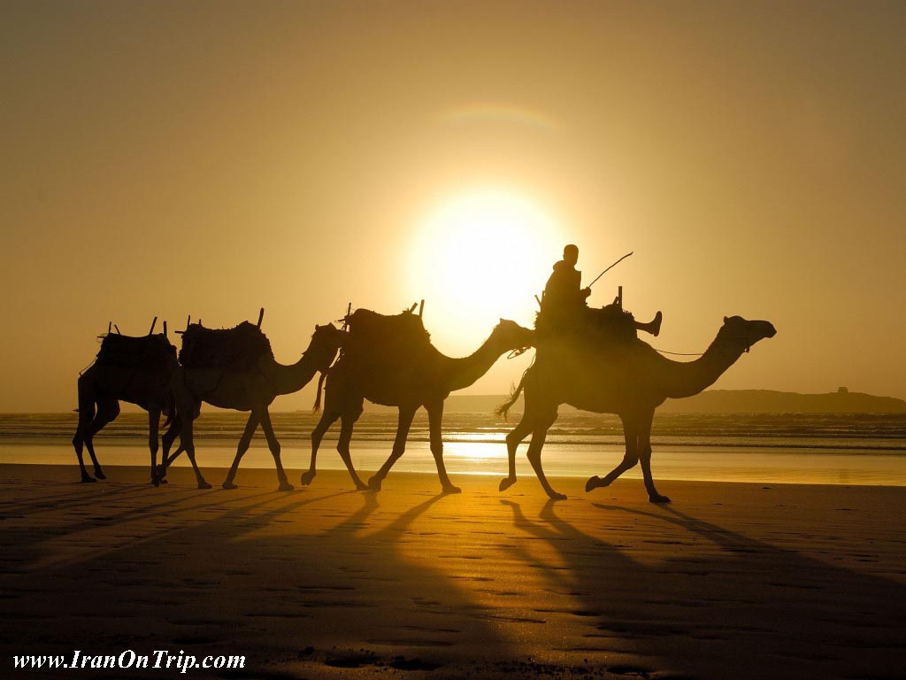 Deserts of Iran