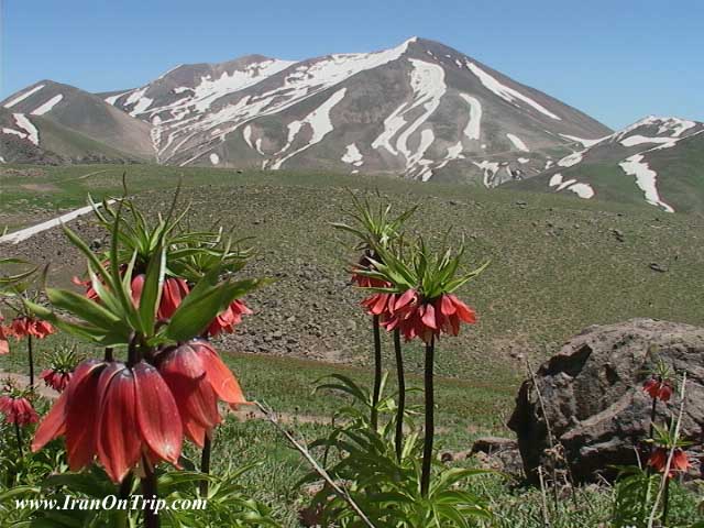 mount sahand