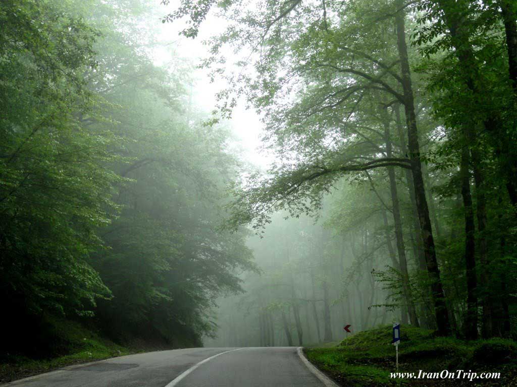 Abbas Abad Forests in Iran