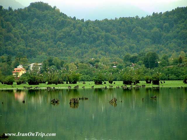 Sibley lake, Mazandaran