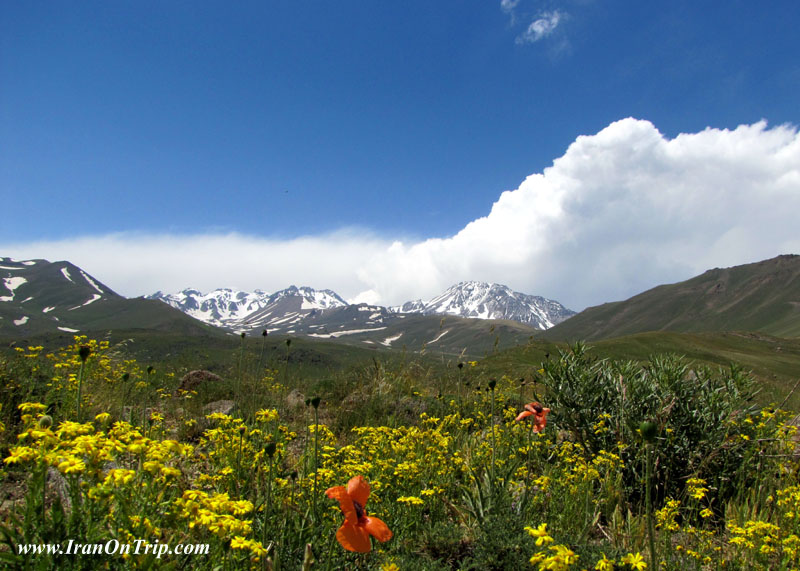 Sabalan Mountain