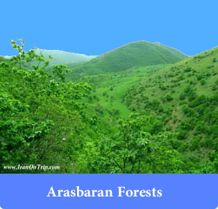 Arasbaran Forests - Forests of Iran