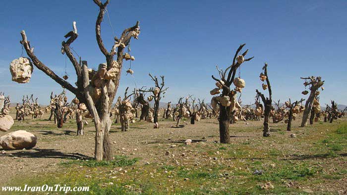 Kerman Darvish Khan's Stone Garden