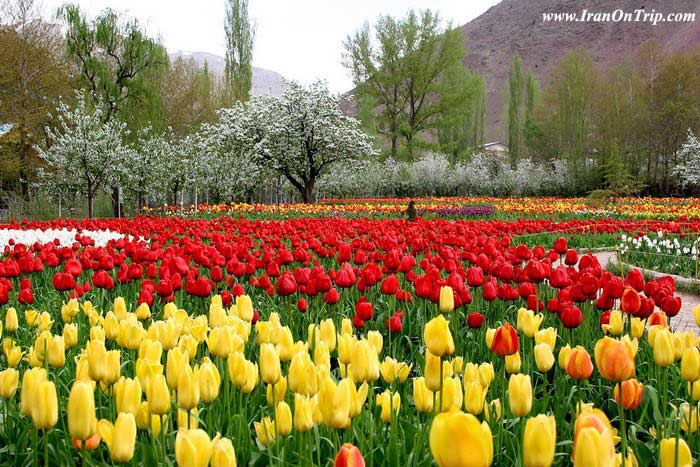 Chalus Road in Iran - Chaloos Road of Iran