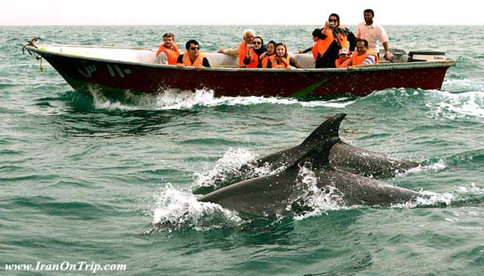 Hengam Island - Islands of Iran