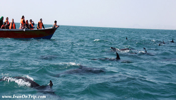 Hengam Island - Islands of Iran