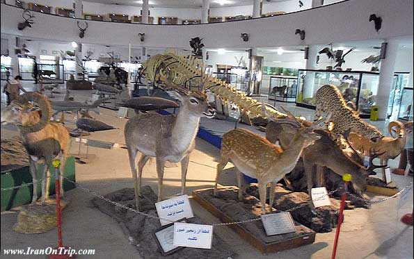 Isfahan Natural Museum