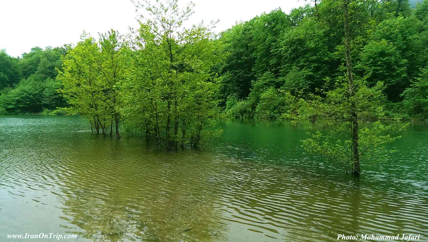 Majiran Lake - Lakes of Iran