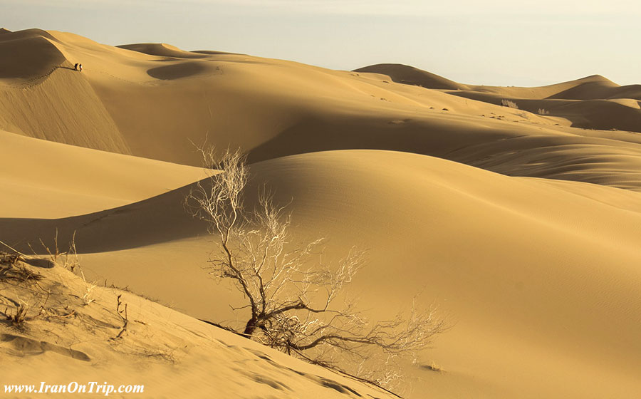 Maranjab Desert in Iran 