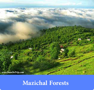 Mazichal Forests - Forests of Iran