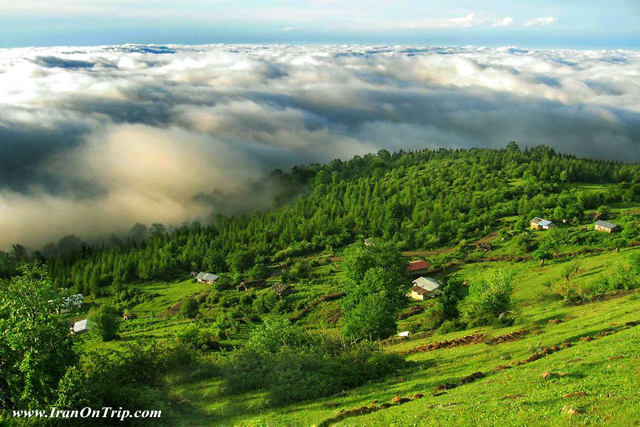 Mazichal Forests - Forests of Iran