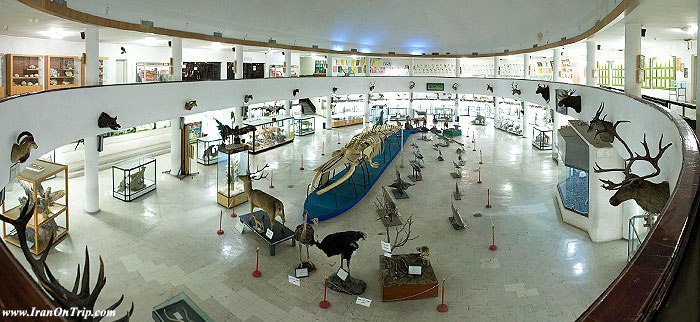 Natural History and Technology Museum ln Shiraz Iran - Museums of Iran