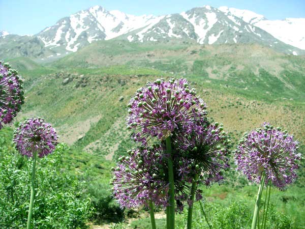 Oshtoran Kooh - Mountains of Iran