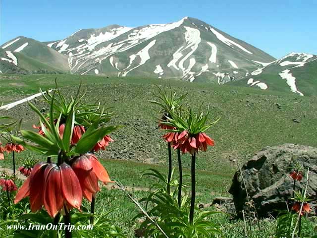 Sahand Mountain - Mountains of Iran