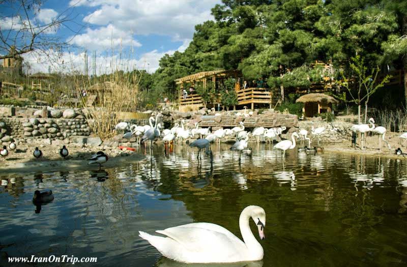 Tehran Birds Garden