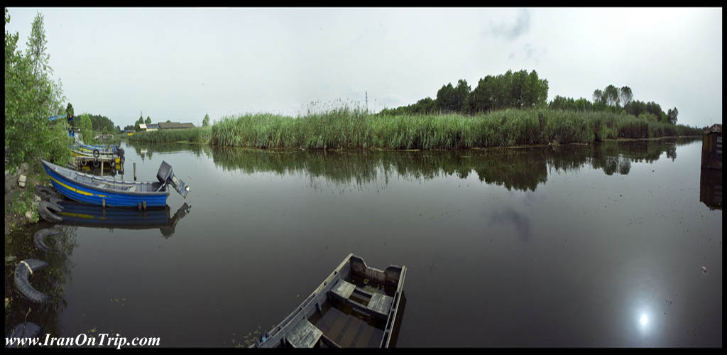 Anzali Lagoon in Iran-Wetlands of Iran