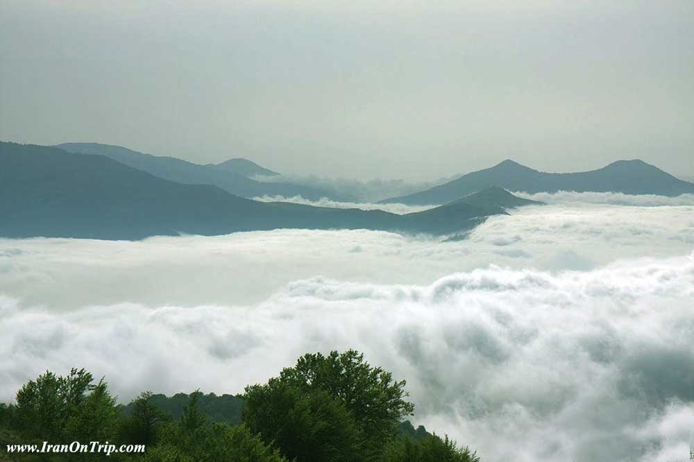 Abr Forests of Shahroud - Cloud Forest in Shahroud Iran - Cloud Forests of Iran