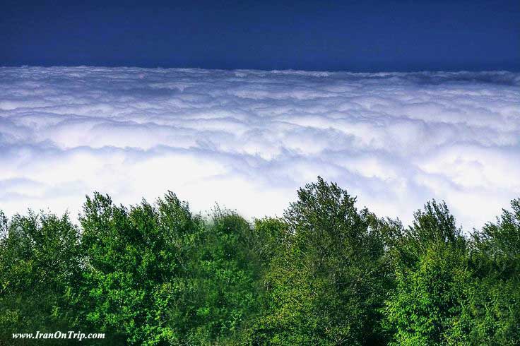 Abr Forests of Shahroud - Cloud Forest in Shahroud Iran - Cloud Forests of Iran