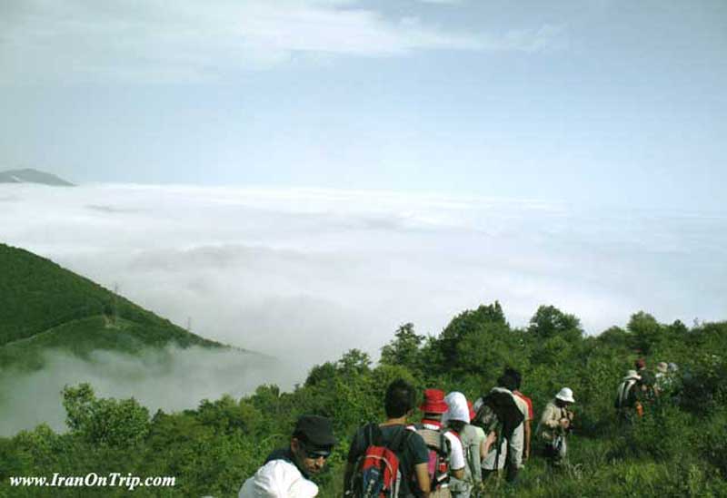 Abr Forests of Shahroud - Cloud Forest in Shahroud Iran - Cloud Forests of Iran