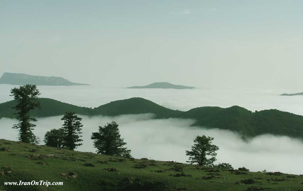 Abr Forests of Shahroud - Cloud Forest in Shahroud Iran - Cloud Forests of Iran