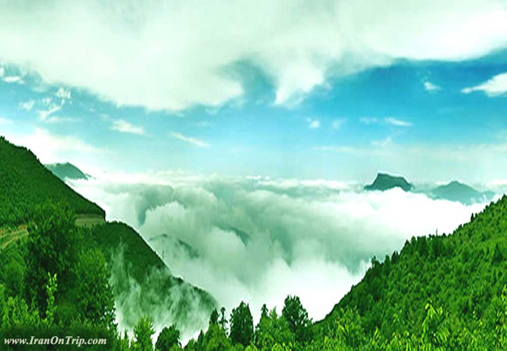 Abr Forests of Shahroud - Cloud Forest in Shahroud Iran - Cloud Forests of Iran