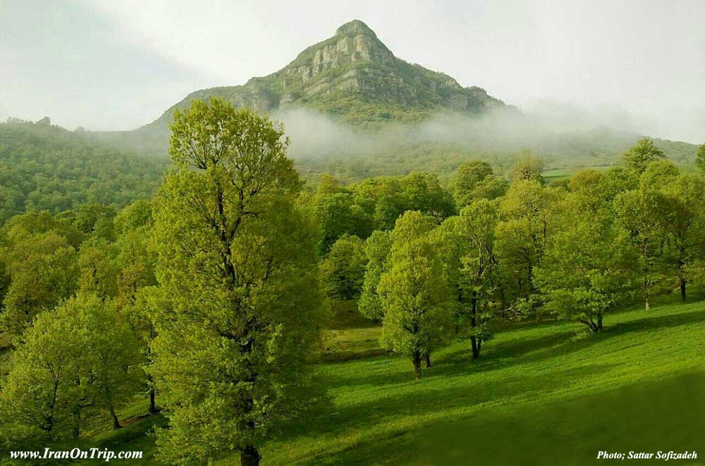 Golestan National Park in Golestan Iran