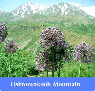 Oshtoran Kooh - Mountains of Iran