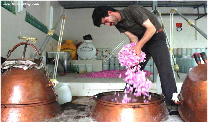 Festival of Rose and Rose Water in Kashan Iran